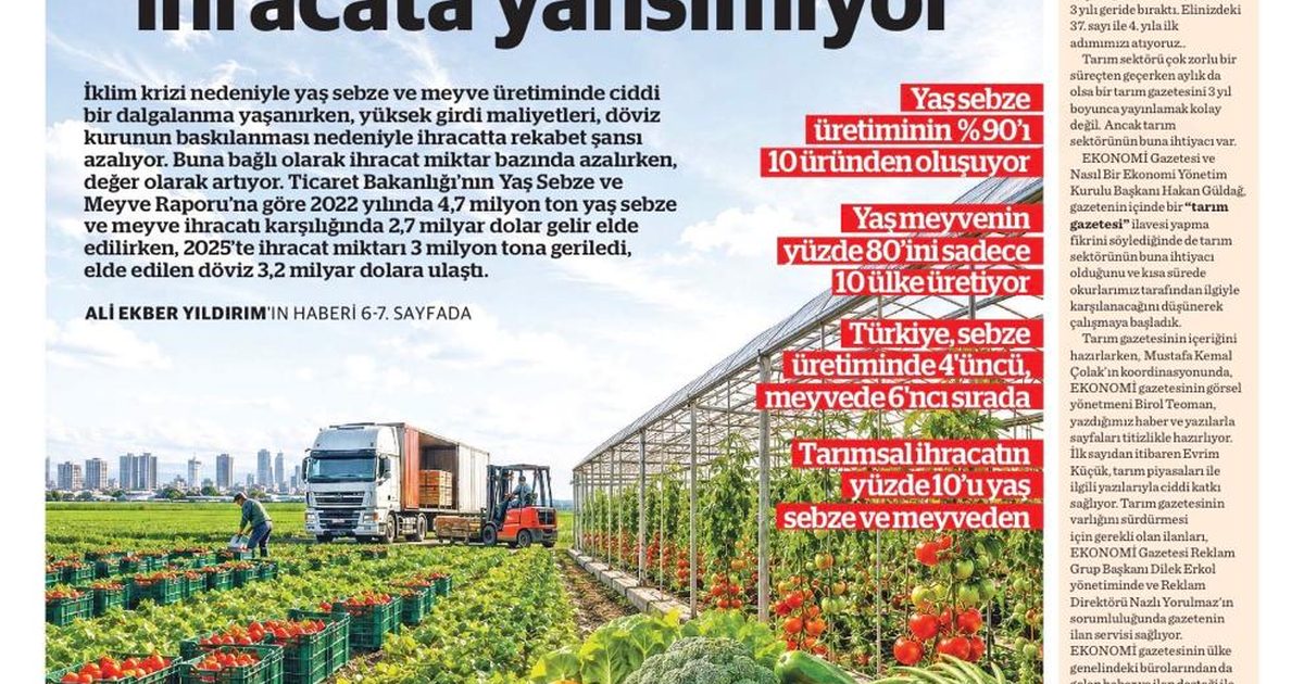 Yaş Meyve Sebzede İhracat Tonajı Düştü Gelir Arttı