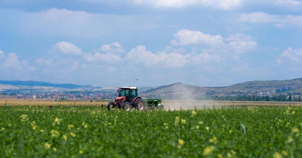 Tarım Kredi Marketleşirken Çiftçi Dengesini Korumak Zorunda