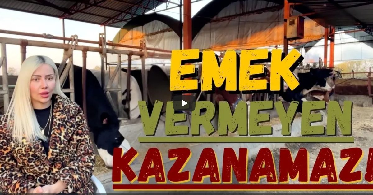 Süt Hayvancılığında Doğru Besleme ve Biyogüvenlik Vurgusu