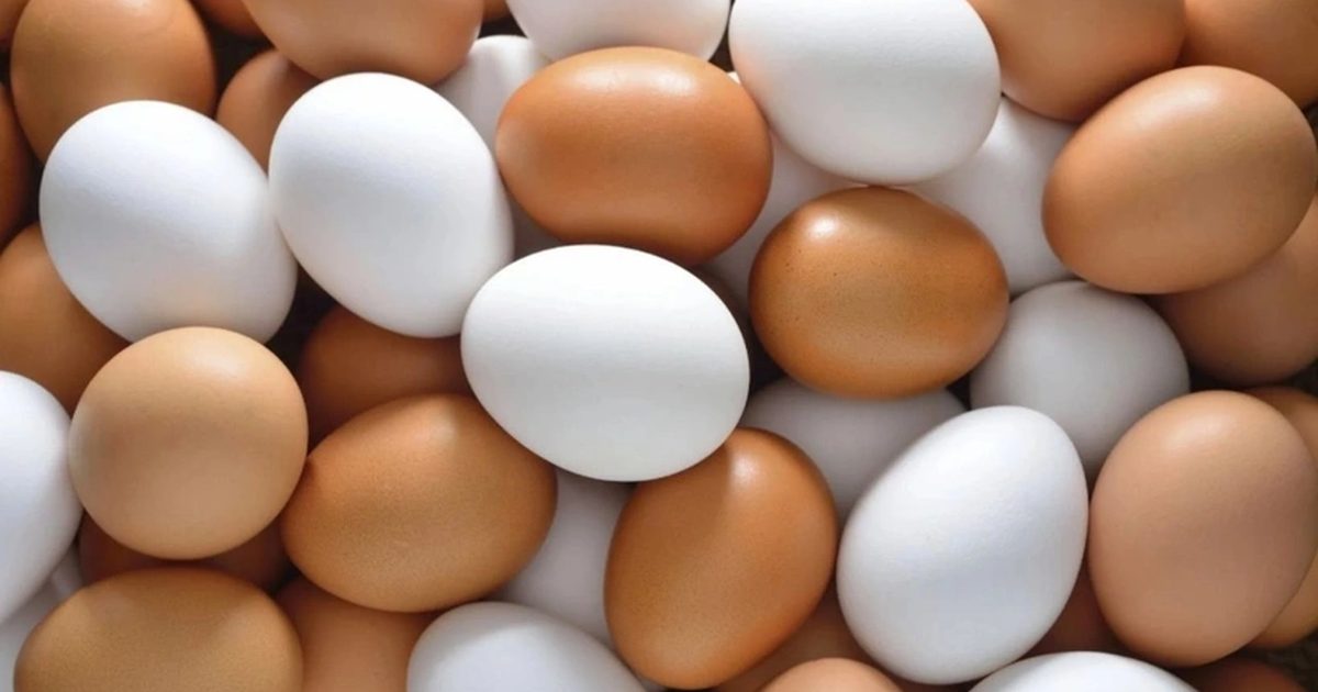 TZOB Ağustosta Yumurta Fiyatlarının Yükseldiğini Açıkladı