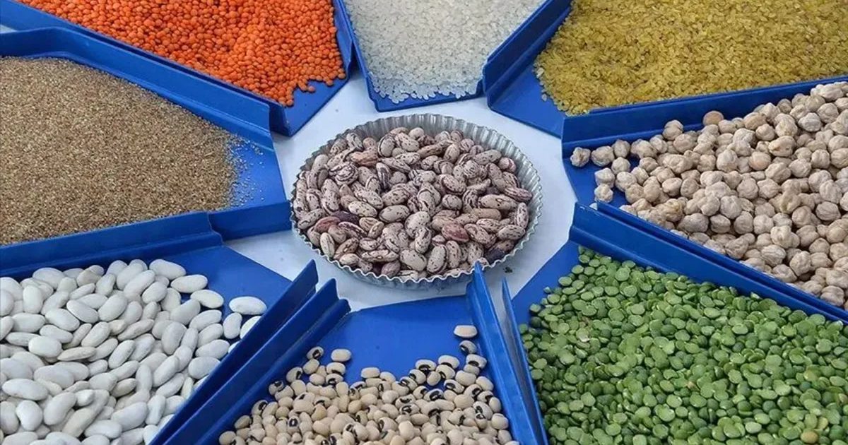 Denizli Becomes Authorized Inspection Point for Food Imports