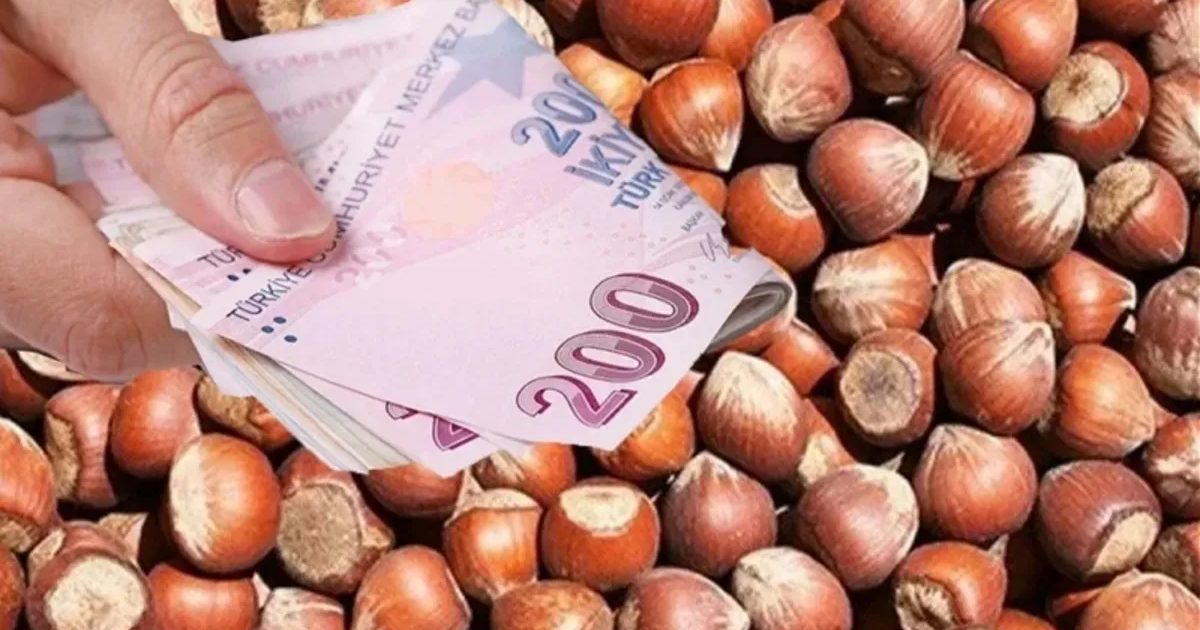 TMO Announces New Season Hazelnut Purchase Prices