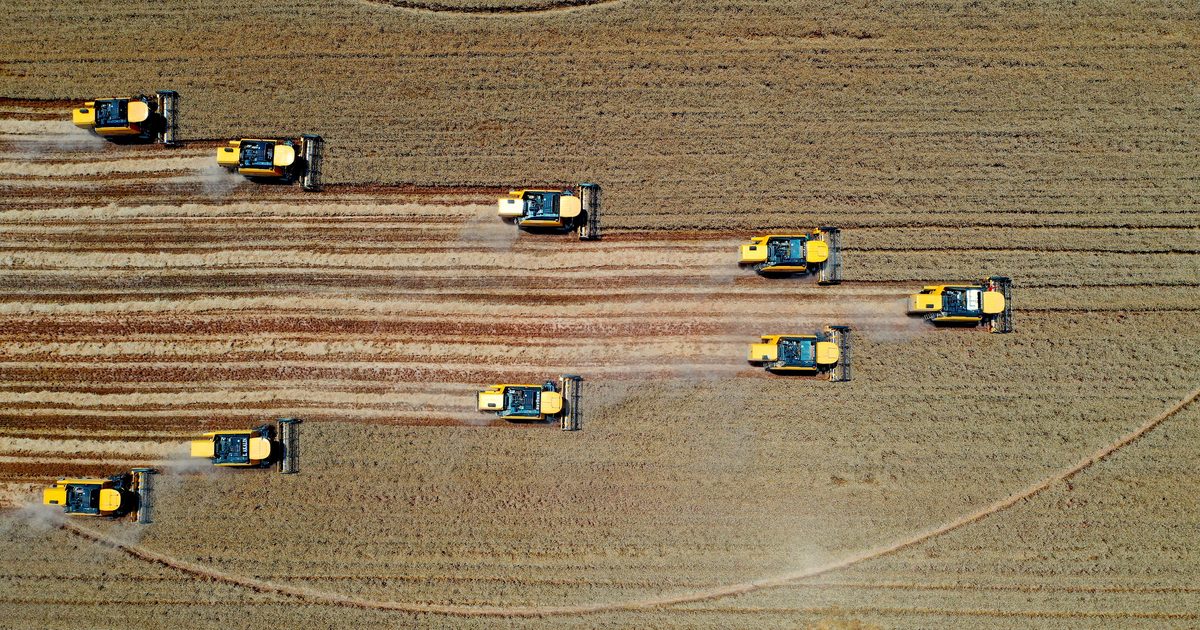 Turkey Rises to European Leadership with Agricultural Output