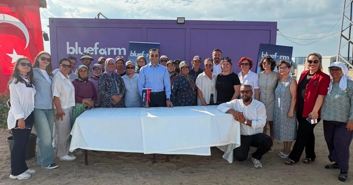 Female Entrepreneurs in İpsala to Produce Blueberries for Export