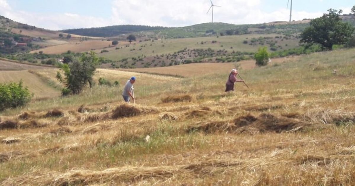 ZMO Uyardı: Çiftçinin Kredi Borcu 1,3 Trilyonu Aştı