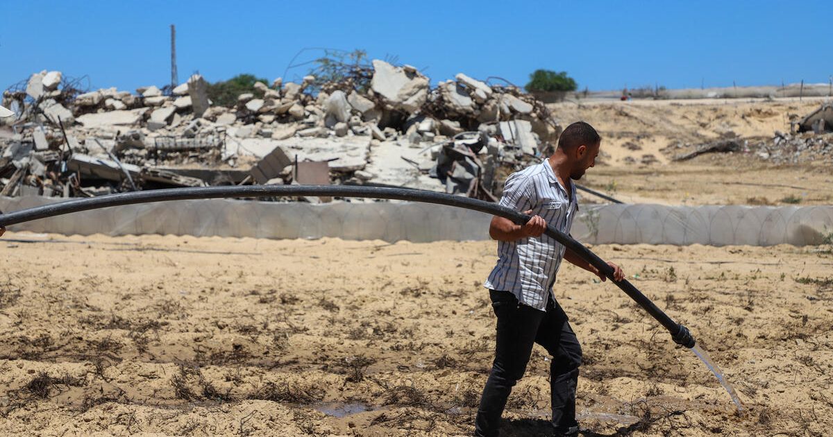 FAO Gazze'deki Ekilebilir Arazilerin Durumunu Açıkladı