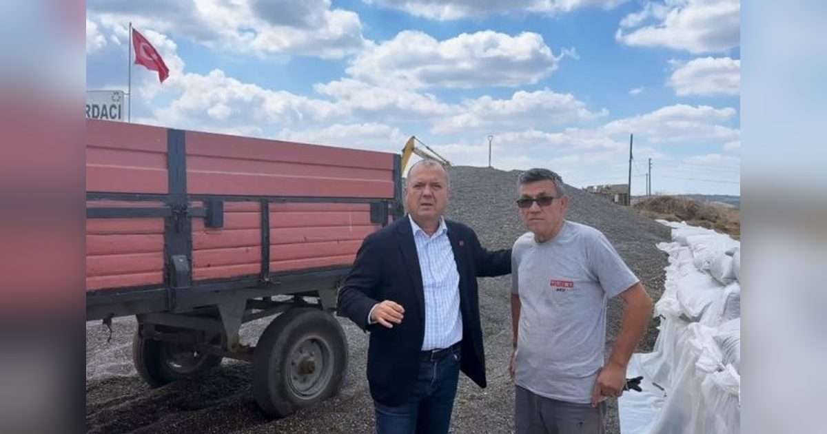 Ayçiçeği Hasadında İthalat Girişimine Karşı Uyarı