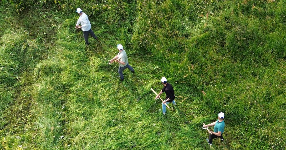 Yapay Zeka Teknolojileri Küresel Tarımda Üretim Süreçlerini Dönüştürüyor
