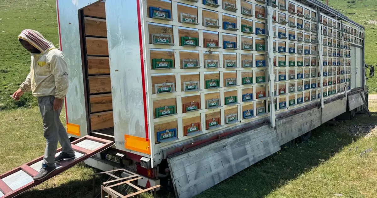 Mobile Honey Production Begins on a Truck Trailer in Kars