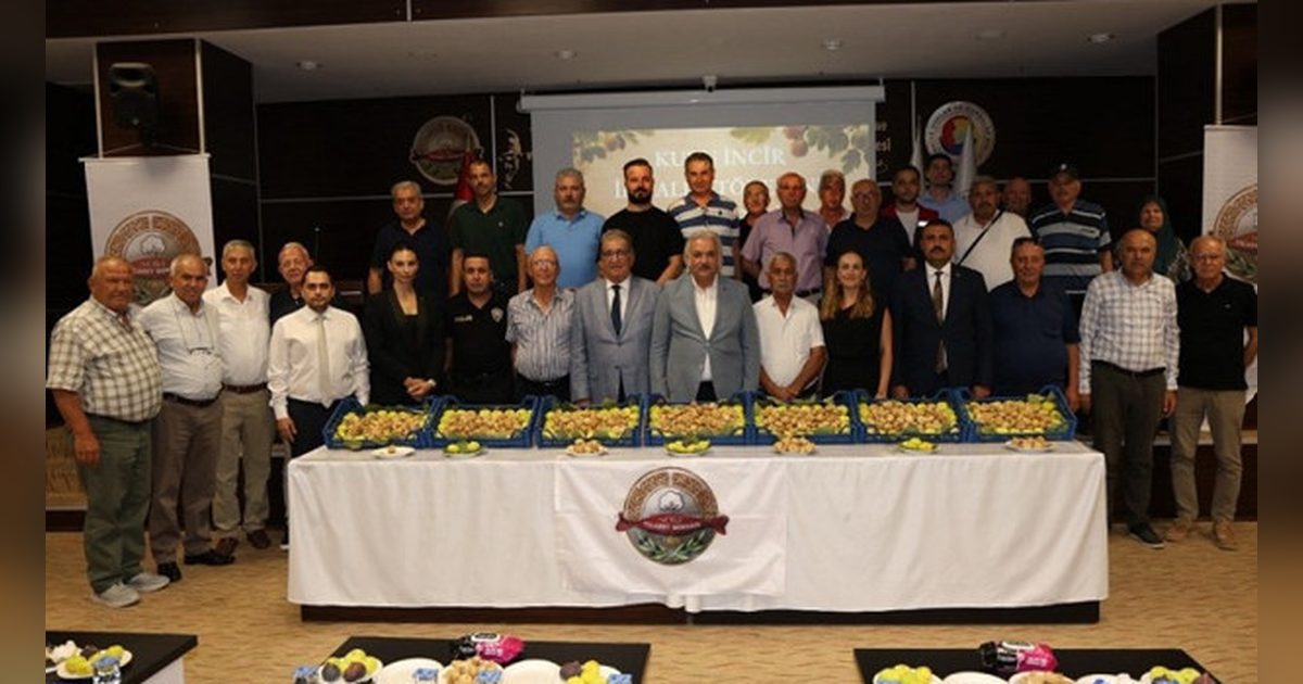 Söke'de Kuru İncir Sezonu 600 Lirayla Açıldı