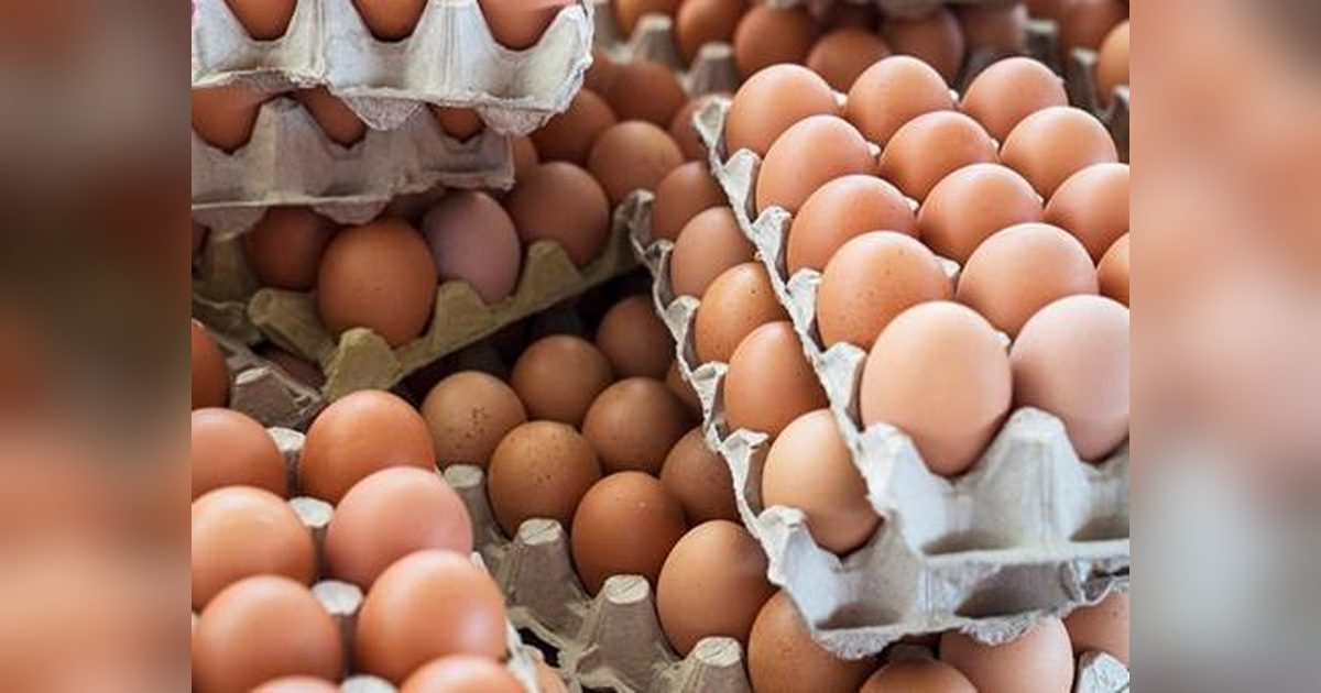 Imported Eggs Linked to Salmonella Outbreak in the UK