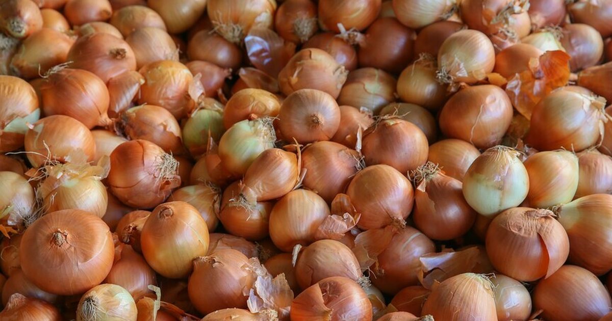 Customs Duties Reduced on Dry Onions and Sunflowers