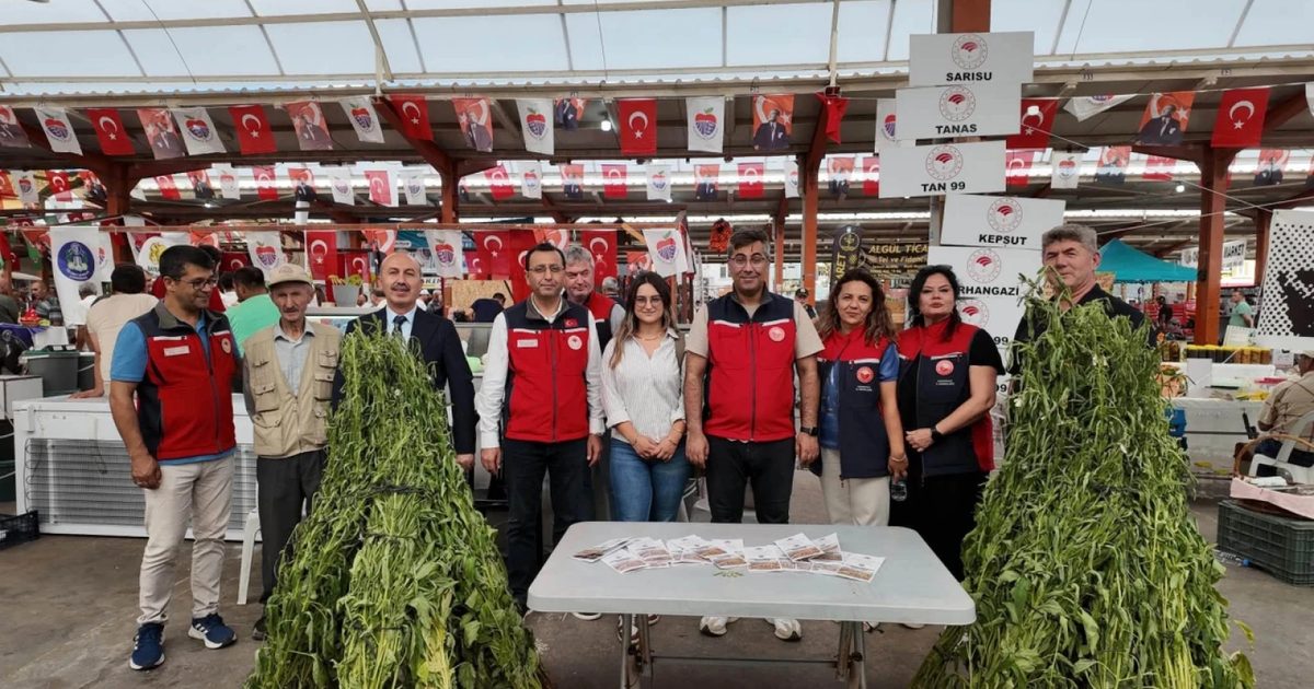 Çanakkale'de Yerli Susam Çeşitleri Üreticiyle Buluştu