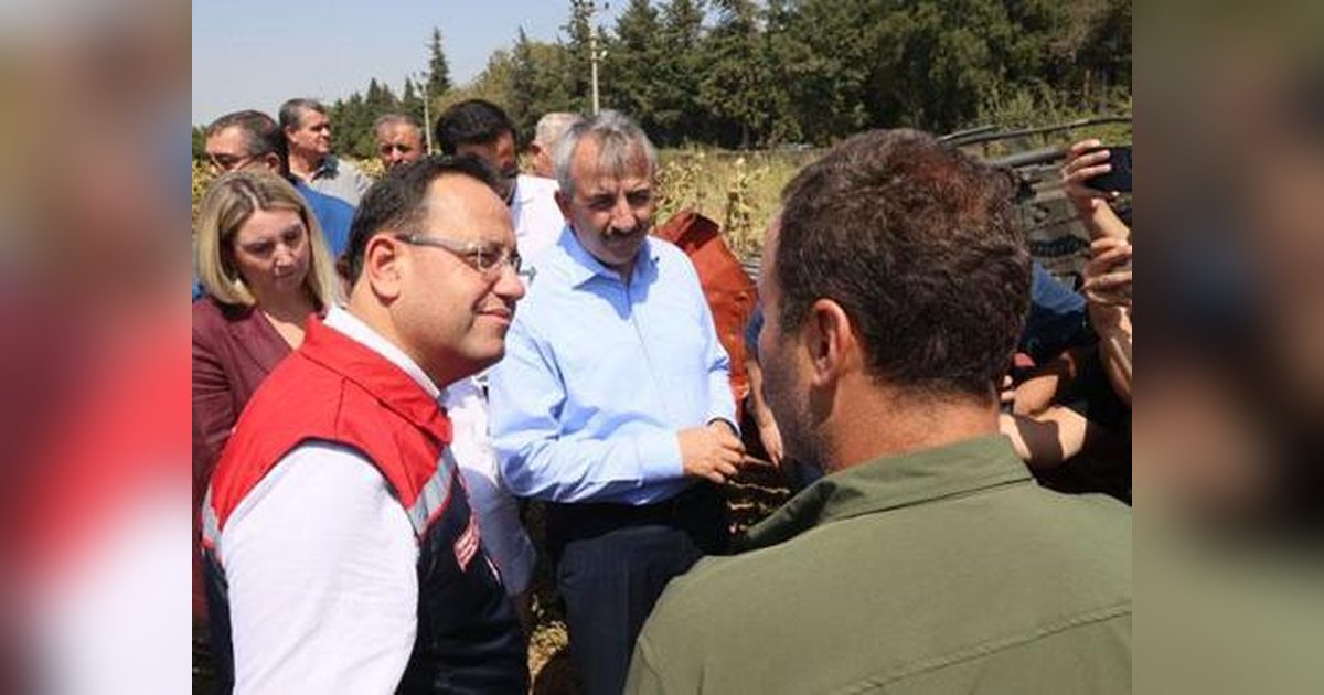 Record Production Expected in Thrace with a Bountiful Season