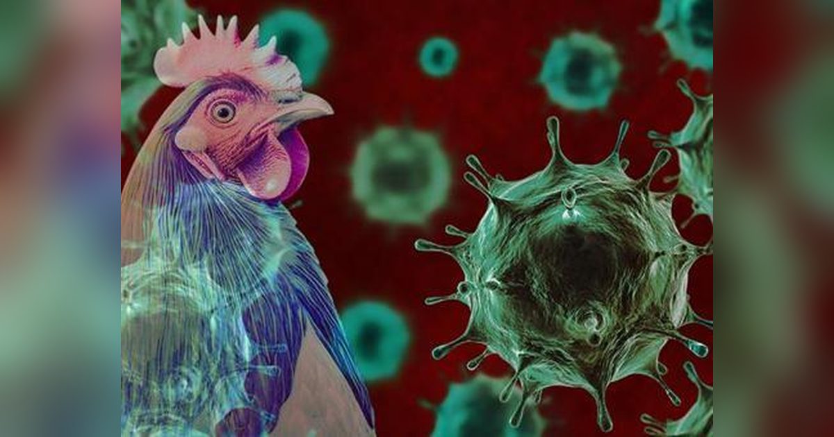 Australia Vaccinates Native Species Against Bird Flu