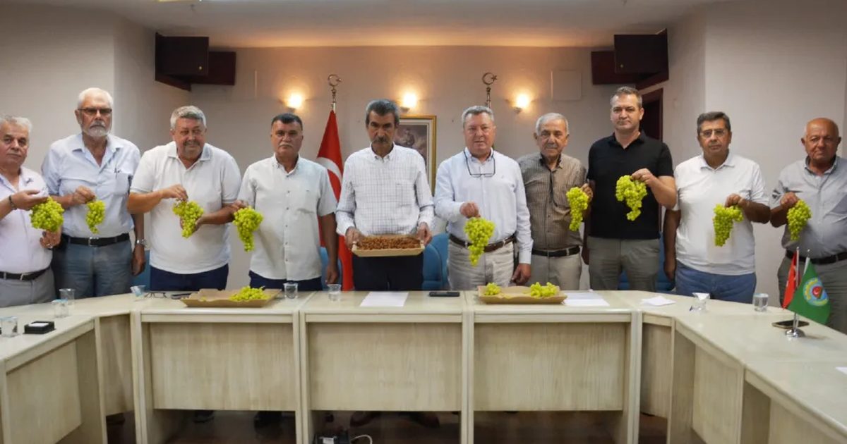 Manisalı Üreticiler Kuru Üzüm Taban Fiyatını Bekliyor