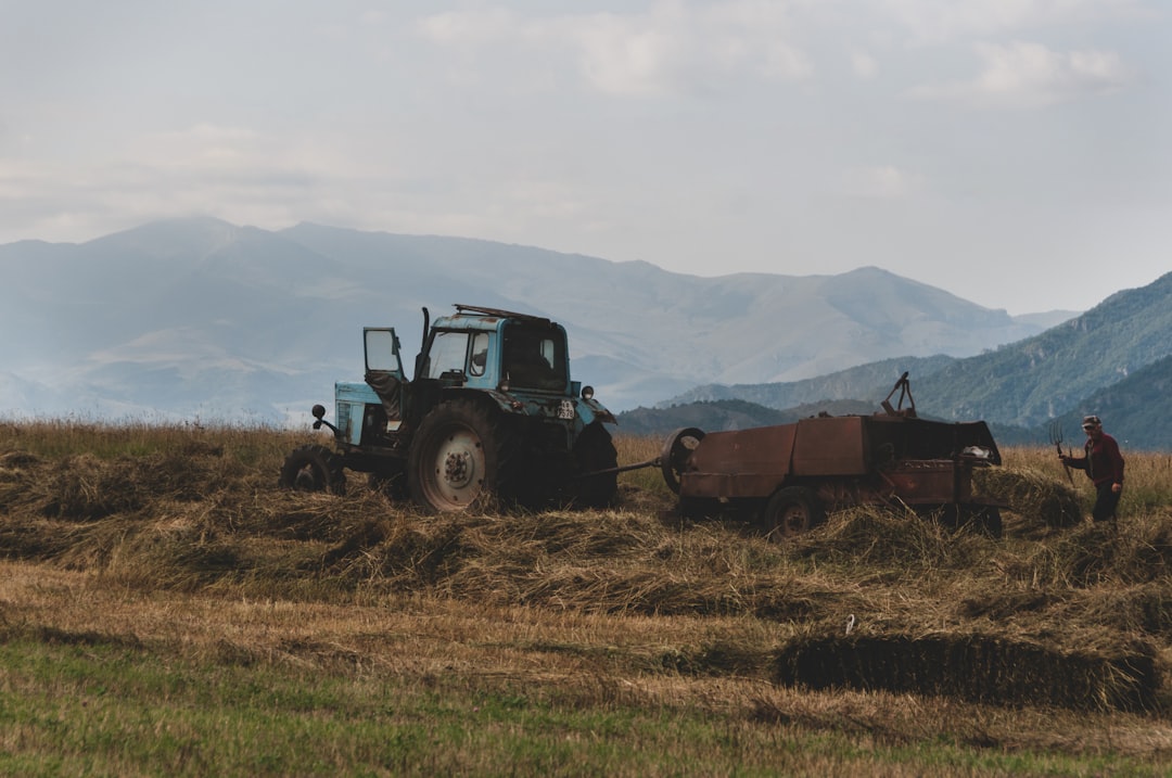 The Memory of Soil and the Pain of Rural Rejuvenation: Is a New Generation of Collective…