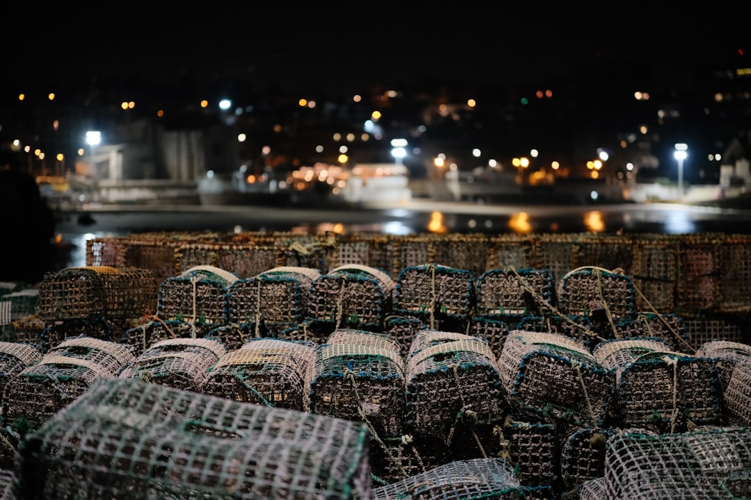 FAO Members Celebrate 10th Anniversary of Global Fisheries Agreement