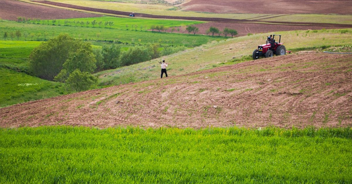 Fırtınanın Gözünde Tarım: Volatilitenin Yeni Normali ve Geleceğe Yöneliş