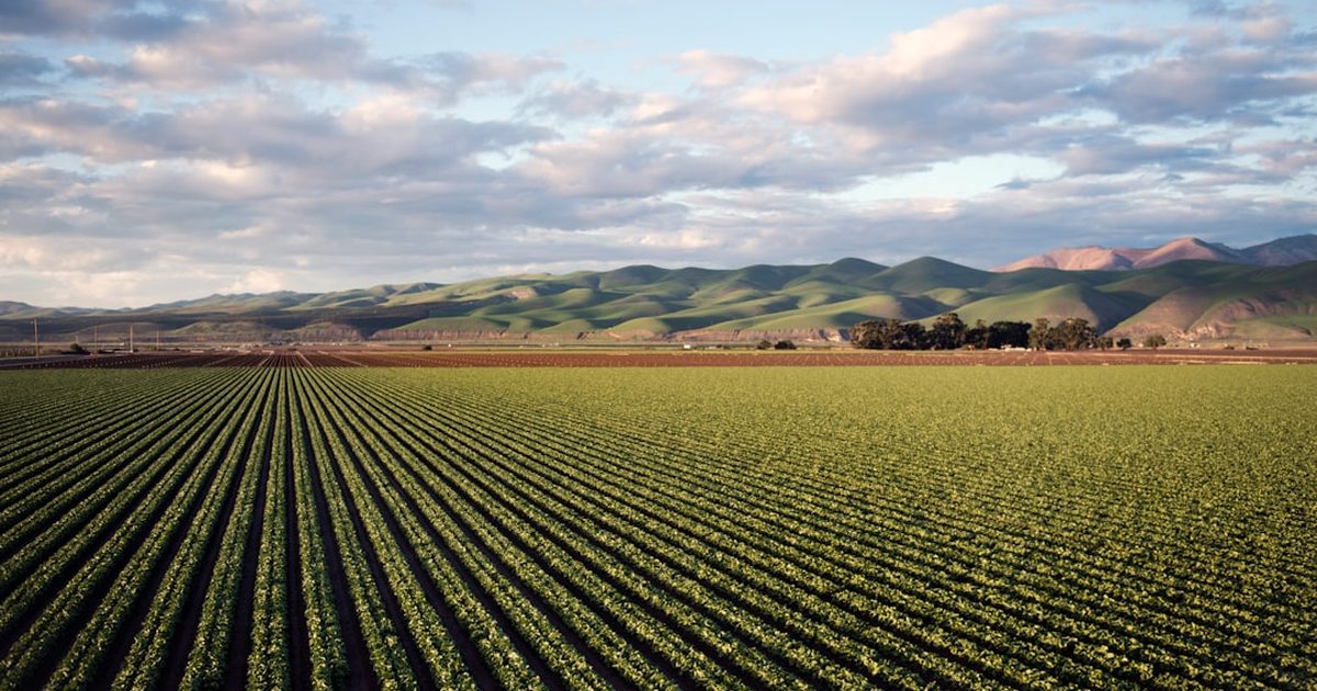 The Whisper of the Soil, The Echo of the Future: Regenerative Agriculture and Economic…