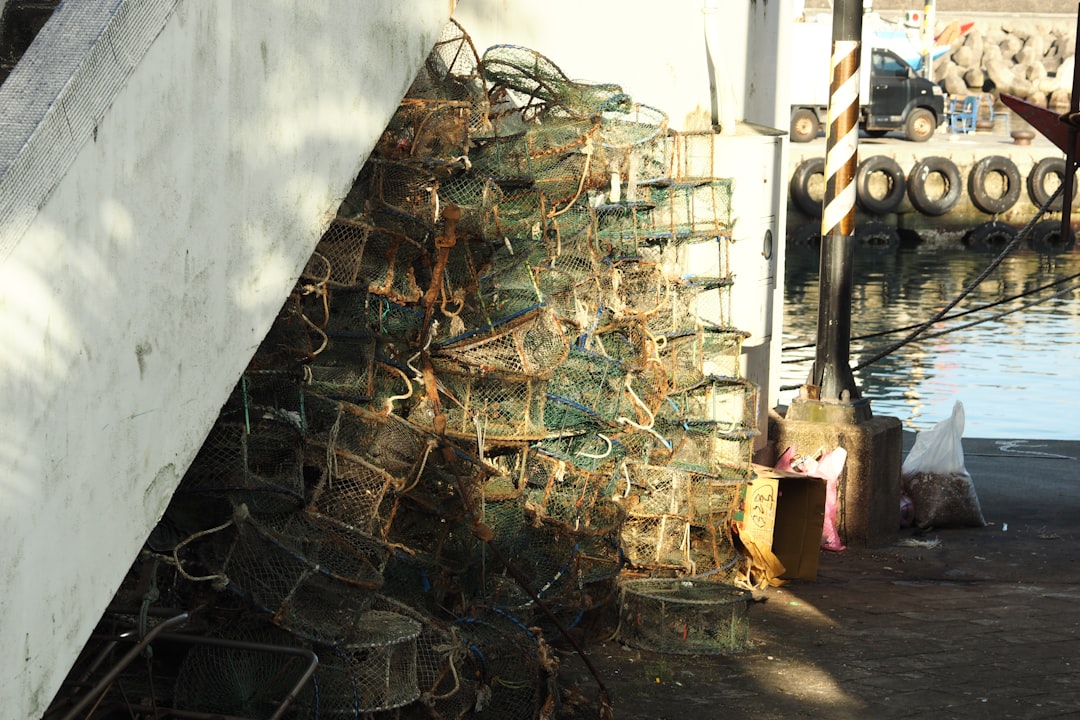 Record Production of 1 Million Tons in Aquaculture