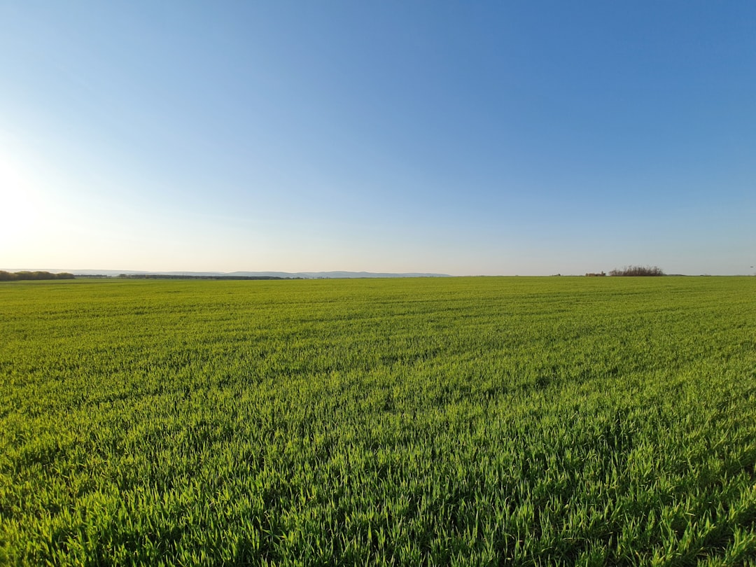 Erzincan'da Hasat Sezonu ve TMO Alımları Değerlendirildi