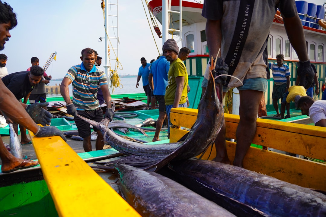 Fishermen Set Sail with 'Vira Bismillah' as New Season Begins