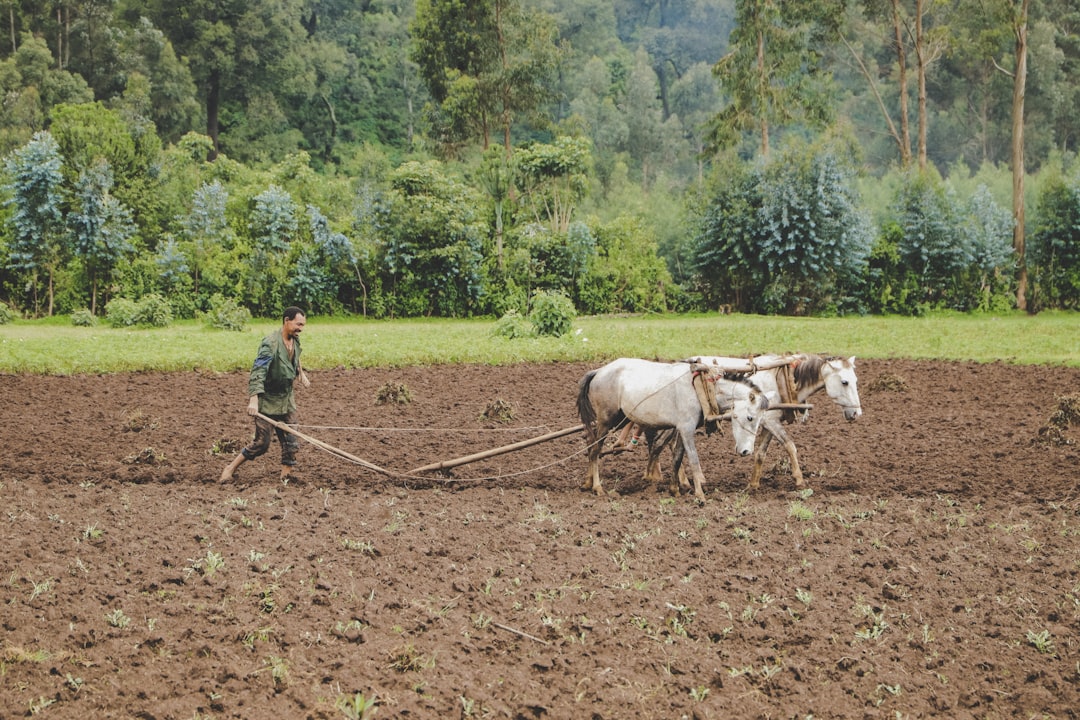 Tarım Kredi Marketleri Dev Ciroya Rağmen Zarar Açıkladı