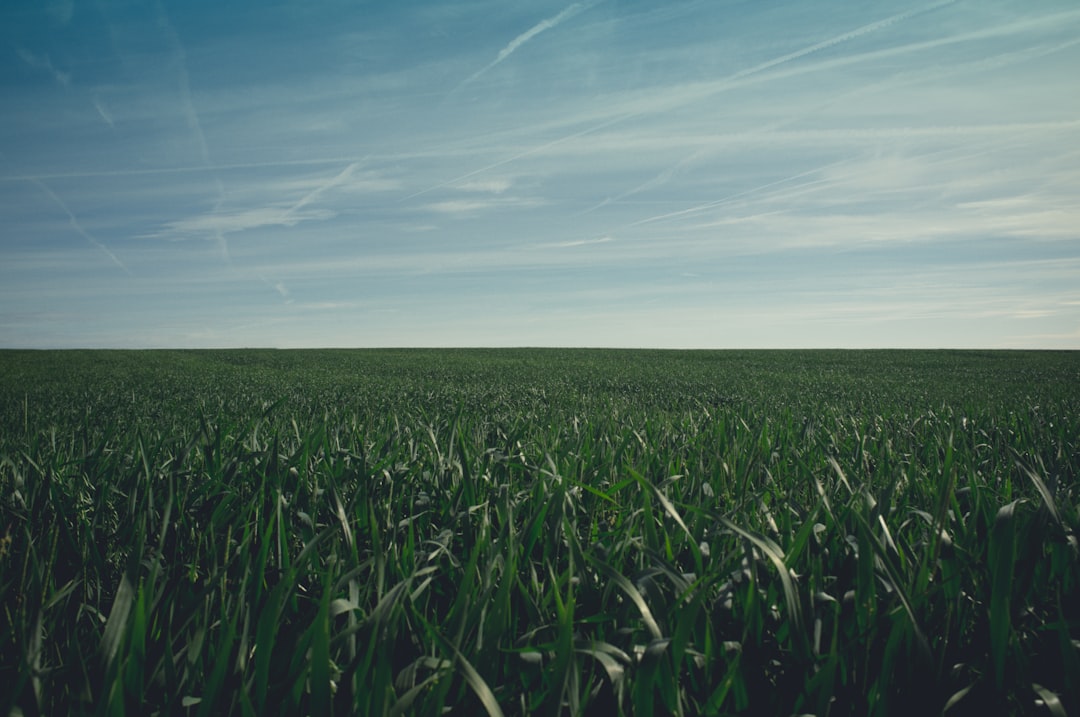 Selevir Irrigation Project to Water 38,000 Decares