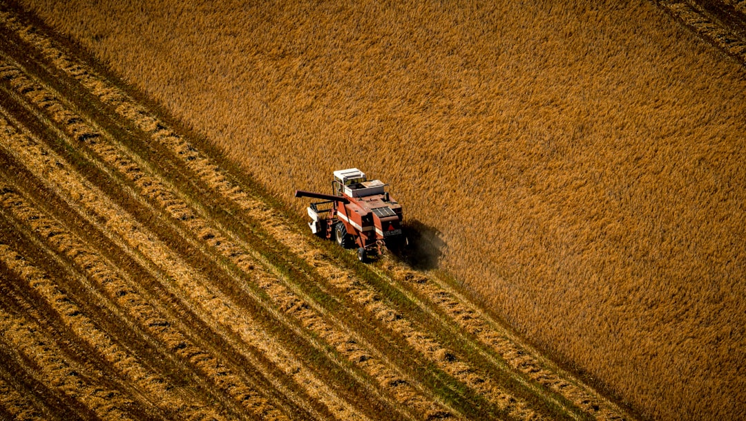 The Aging Hands of the Soil and the New Rural Call: How Do We Revitalize the Youthless…